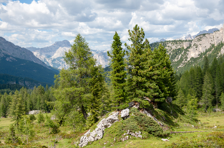Mountain scene of the Italian Dolomites, near the Giau Pass, on a Summer Afternoon.の写真素材
