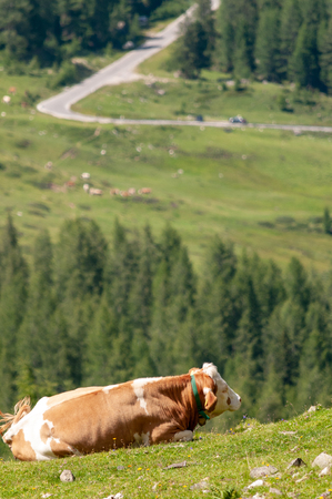 Mountain Scenery of the Italian Dolomites on a summers Afternoonの写真素材