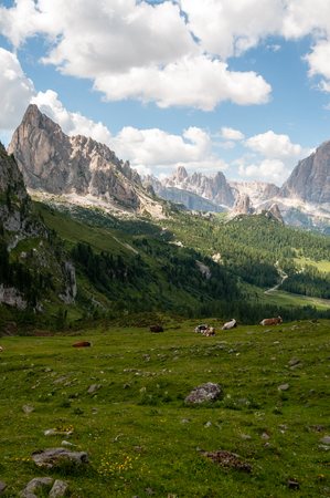 Mountain scene of the Italian Dolomites, near the Giau Pass, on a Summer Afternoon.の写真素材