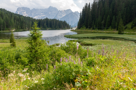 Impression of the shoreline of Lake Misurina, in the Italian Dolomites, on a Summers Afternoon.の写真素材