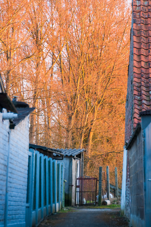 The setting sun casting its last rays through a small alley in east-Flanders, belgiu,の写真素材