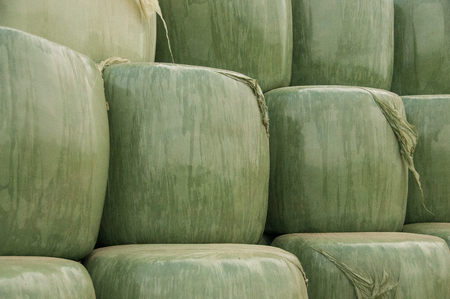 Close-up of a stack of hay-bales being wrapped in Plastic.. East-Flanders in the summer of 2016の写真素材