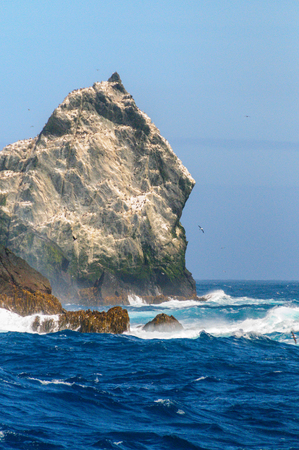 The Shag Rocks are six small, uninhabited, islands on the most western part of South Georgia. They are named after the South Georgian Imperial Shags, a sub-species of Comorants.の写真素材