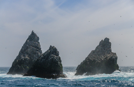 The Shag Rocks are six small, uninhabited, islands on the most western part of South Georgia. They are named after the South Georgian Imperial Shags, a sub-species of Comorants.の写真素材