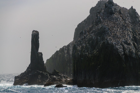 The Shag Rocks are six small, uninhabited, islands on the most western part of South Georgia. They are named after the South Georgian Imperial Shags, a sub-species of Comorants.の写真素材