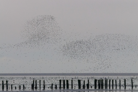 The Noarderleech area in Friesland, on a stormy day.の写真素材
