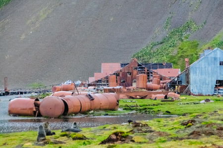 Stromness Ruinsの写真素材