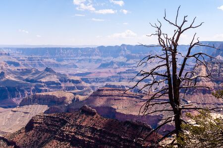 Outlook from the Grandview Point over the Grand Canyon. Summer afteroon impressionの写真素材