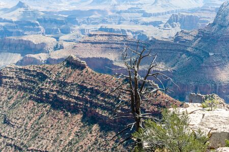 Outlook from the Grandview Point over the Grand Canyon. Summer afteroon impressionの写真素材