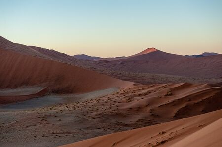 Early morning sunlight illuminating the red sand of Namibias sussusvleiの写真素材