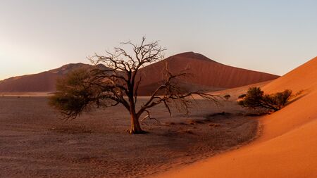 The rising sun illuminating the mighty dunes of the sossusvlei, as seen from dune 45, in Nambia.の写真素材