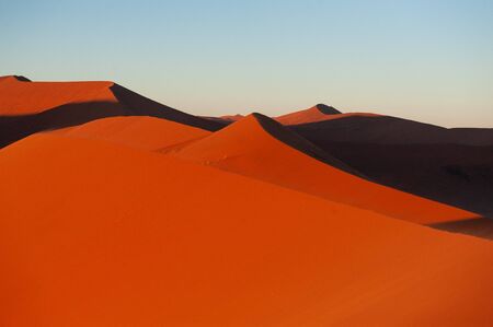 Early morning sunlight illuminating the red sand of Namibias sussusvleiの写真素材