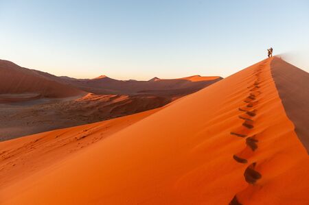 Early morning sunlight illuminating the red sand of Namibias sussusvleiの写真素材