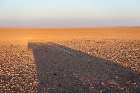 The tracks of a safari vehicle accentuated by the early morning light. Khomas region, Central Namibia.の写真素材