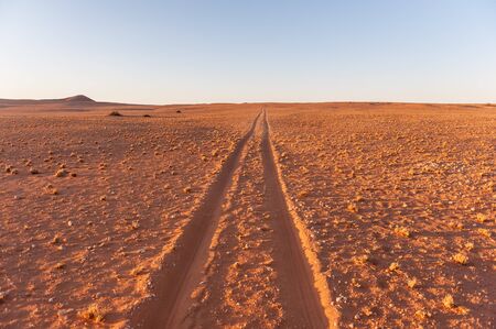 The tracks of a safari vehicle accentuated by the early morning light. Khomas region, Central Namibia.の写真素材