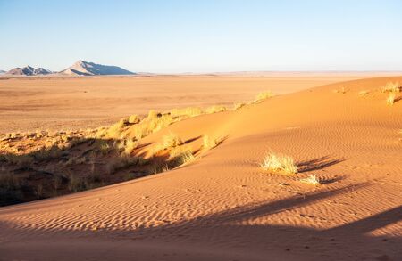 The rising sun is casting long shadows across the Dune Landscape of the Khomas Region in Central Western Namibia.の写真素材