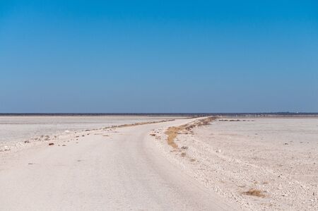 An overview of the empty space of the Etosha salt pan, Ethosha National Park, Namibia.の写真素材