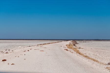 An overview of the empty space of the Etosha salt pan, Ethosha National Park, Namibia.の写真素材