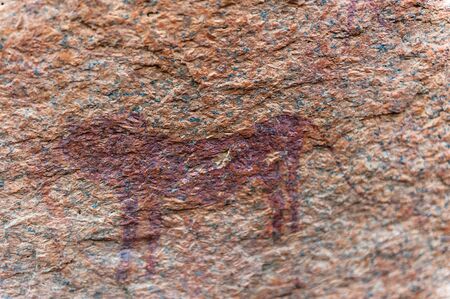 Detail of the prehistoric rock paintings of the San People in Western Namibia, near Spitzkoppe.の写真素材
