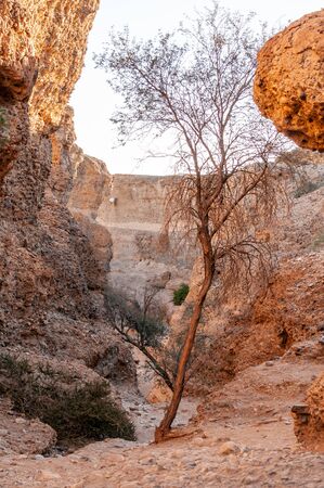 Impression of Sesriem Canyon, in the Hardap region of Namibia, during sunset.の写真素材