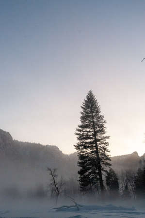 An eerie mist covers the floor of yosemite valley, while a thin layer of snow outlines the trees in during a beautiful sunset.の写真素材