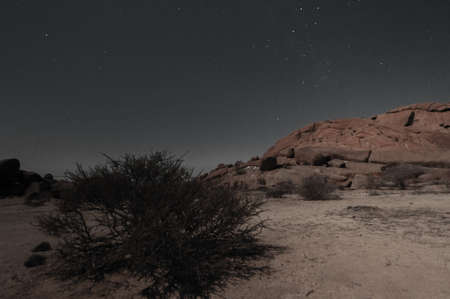 Night shot of the Namibian Desert near Spitzkoppe, under a clear starry southern sky.の写真素材