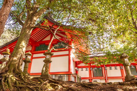Nara, Japan - January 5, 2020. Detail of a historic temple in Nara Park. Nara is a historic city in Japan, famous for its many temples and Shrines.のeditorial素材