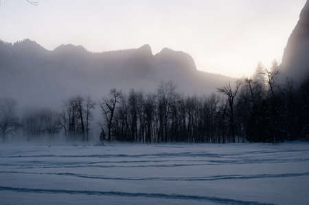 An eerie mist covers the floor of yosemite valley, while a thin layer of snow outlines the trees in...