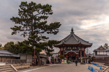 Nara, Japan - January 5, 2020.Exterior shot of Nara Park. Nara is a historic city in Japan, famous for its many temples and Shrines. Many people visit during the first days of the new year.のeditorial素材