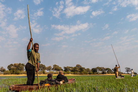 Okavango Delta, Botswana - August 2, 2022. Western Tourists travelling in a mokoro, along the delta. This type of travel is traditional among the locals of the delta.のeditorial素材