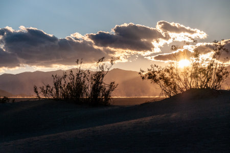 Back-lit sand blowing up by heavy winds near stovepipe wells in Death Valley national park, California.の写真素材