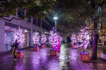 Tokyo, Japan - January 8, 2020. A lonely passer-by in a christmas tree decorated street in central Tokyo.のeditorial素材