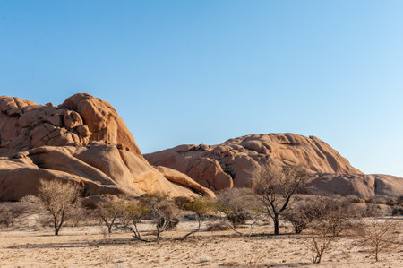 Landscape shot of the Namibian desert near Spitzkoppe, around sunset.の写真素材