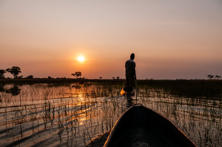 Okavango Delta, Botswana - August 3, 2022. A first-person perspective of a sunset in the Okavango delta, as observed from a Mokoro.のeditorial素材