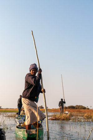 Okavango Delta, Botswana - August 3, 2022. A group of native boatsman carry a group of tourists along the Okavango delta in Mokoros.のeditorial素材