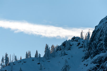 Telephoto shot of a group of trees catching the first sunlight of the new year in Yosemite national park, on an early morning winter afternoon.の写真素材