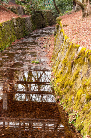 Kyoto, Japan - December 29, 2019. Exterior shot of the Senqukukan Canyon gardens and Tsutenkyo bridge in Kyoto, part of the Tofuki-Ji Temple complex.のeditorial素材