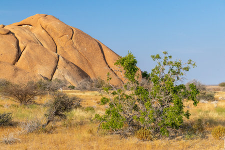Sunset near Spitzkoppe, a famous granite peak in the center of namibia.の写真素材