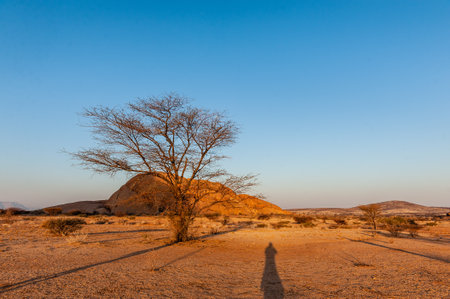 Landscape shot of the Namibian desert near Spitzkoppe, around sunset.の写真素材