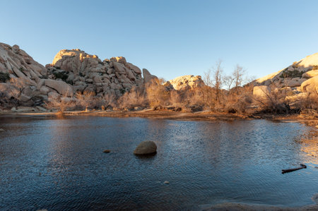 Overlooking Barker Dam in Joshua Tree National Park during golden hour.の写真素材