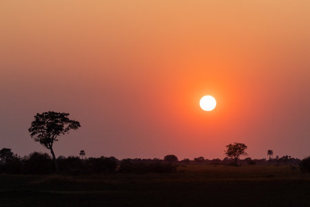 Wide angle shot of a beautiul sunset in the Okavango delta.の写真素材
