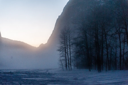 Late afternoon in Yosemite valley as the sun is setting. Yosemite national park, California.の写真素材