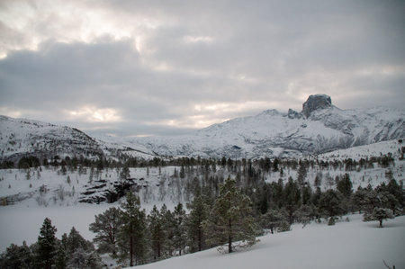 Snow landscape in the mountains of arctic Norway in winterの写真素材