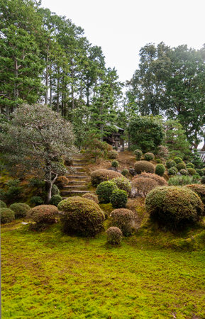 Kyoto, Japan - December 29, 2019. Exterior shot of the Senqukukan Canyon gardens and Tsutenkyo bridge in Kyoto, part of the Tofuki-Ji Temple complex.のeditorial素材