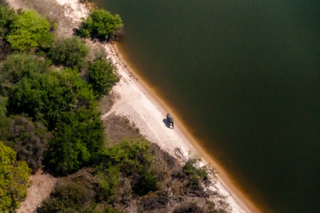 Telephoto of an african elephant -Loxodonta Africana- walking along the Zambezi river, as seen from a Helicopter. Victoria Falls Zimbabwe.の写真素材
