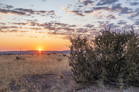 Impression of the Sunset, from a campground in Sesriem, Nambia, gateway to the Sossusvlei.の写真素材