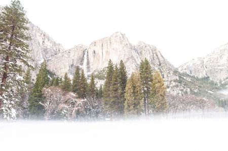 An eerie mist covers the floor of yosemite valley, while a thin layer of snow outlines the trees in during a beautiful sunset.の写真素材