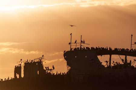 Silhoutte of the SS Palo Alto near sunset, an old World War II shipwreck off the coast of Aptos, Californaの写真素材