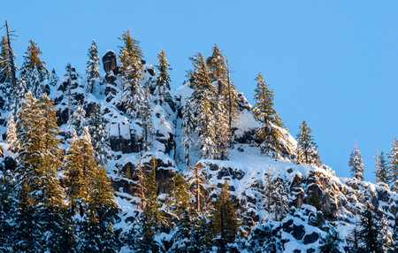 Early morning sunlight illuminated the snow-covered trees and mountains in Yosemite valley.の写真素材