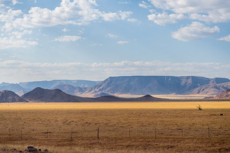 Landscape shot of the desert of Southern Namibia.の写真素材
